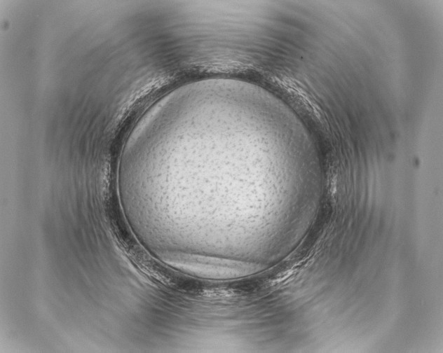 X0000087340591200705111550