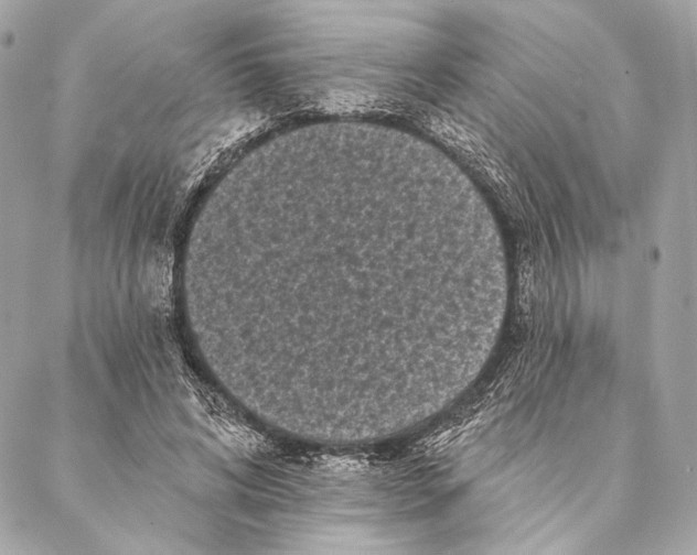 X0000087340592200705111550