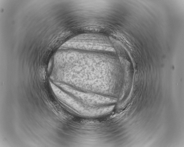 X0000087340597200705111549