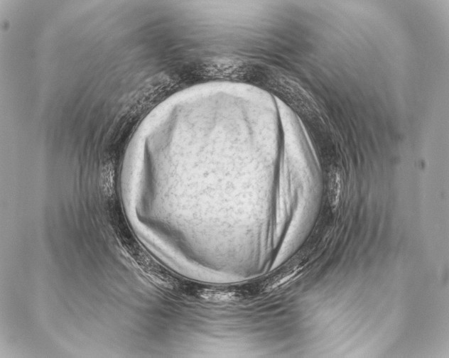 X0000087340602200705111549
