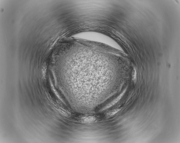X0000087340604200705111549