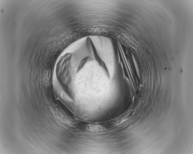 X0000087340605200705111549