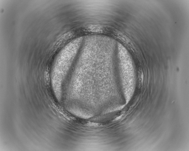 X0000087340609200705111549