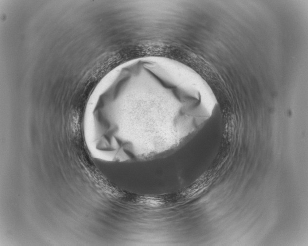 X0000087340610200705111549