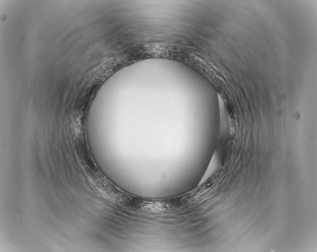 X0000087340611200705111549