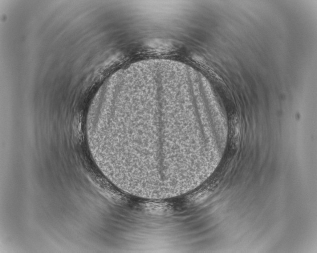 X0000087340615200705111549