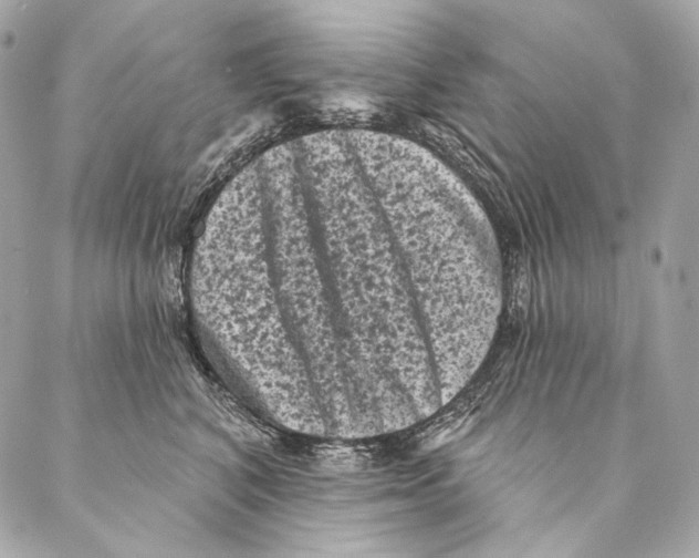 X0000087340616200705111549