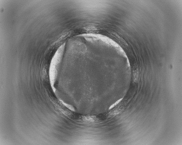X0000087340618200705111549