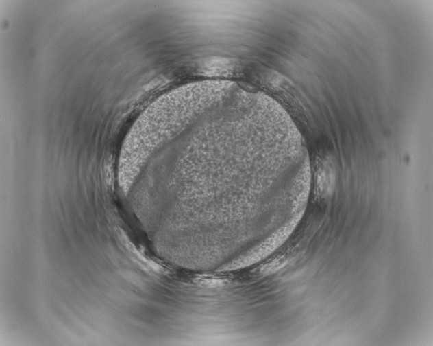X0000087340620200705111549
