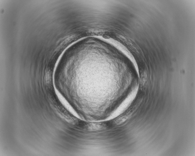 X0000087340623200705111549