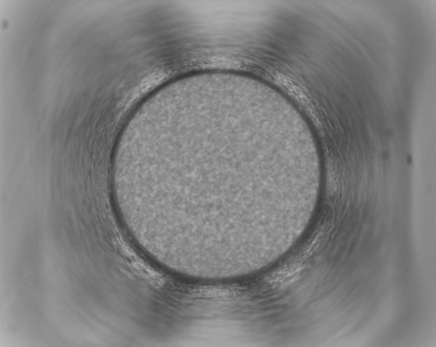 X0000087340625200705111548