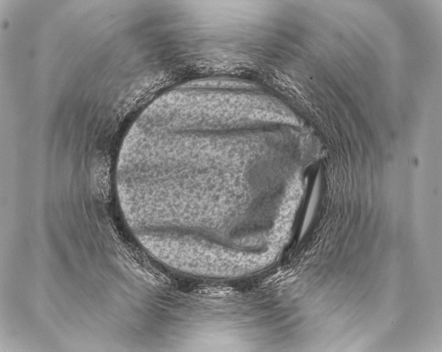X0000087340642200705111548
