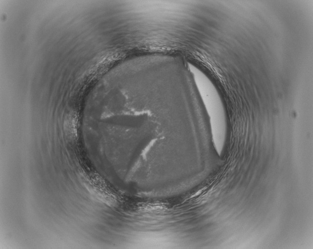 X0000087340643200705111548