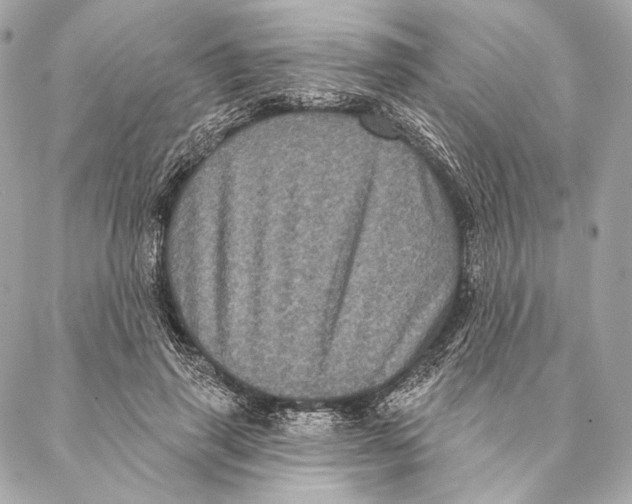 X0000087340645200705111549