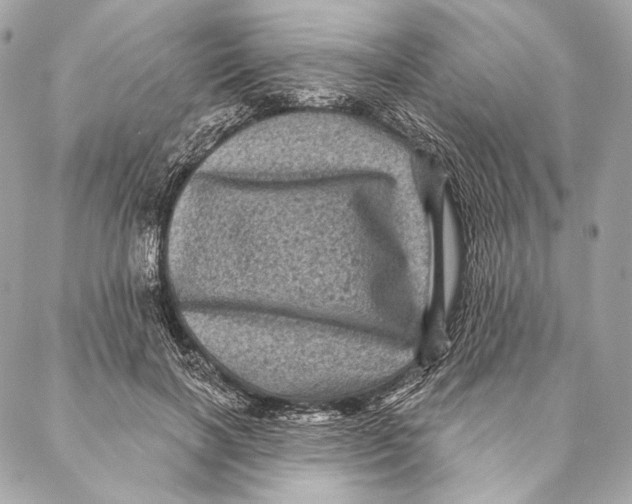 X0000087340646200705111549