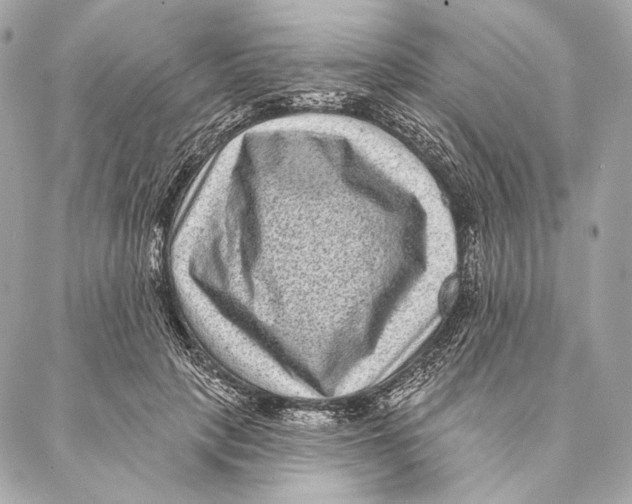 X0000087340649200705111549