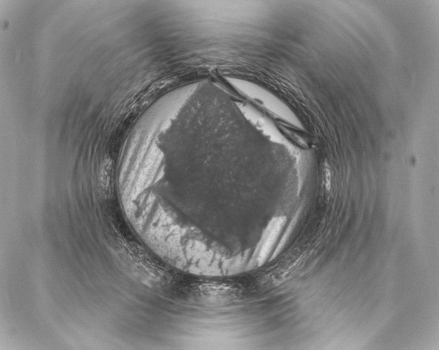 X0000087340650200705111549