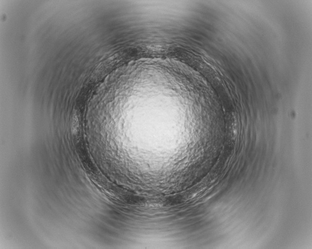 X0000087340651200705111549
