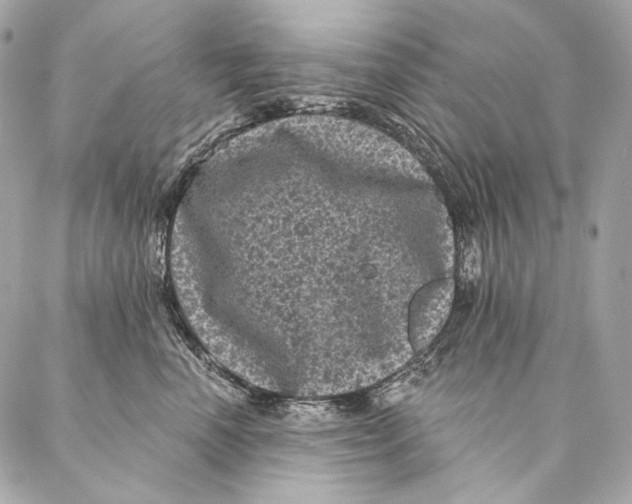 X0000087340666200705111549