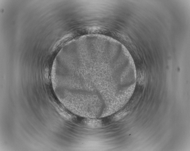 X0000087340670200705111549