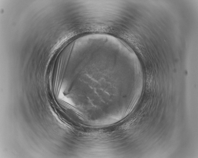 X0000087340674200705111548