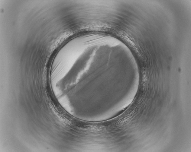 X0000087340678200705111548