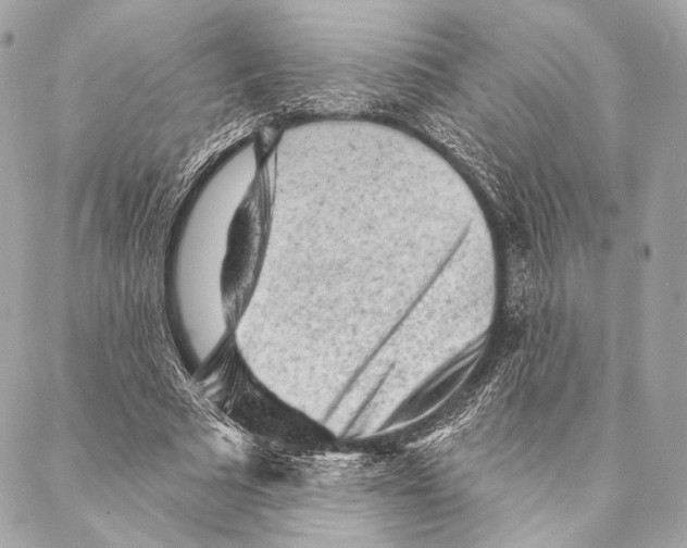 X0000087340681200705111548
