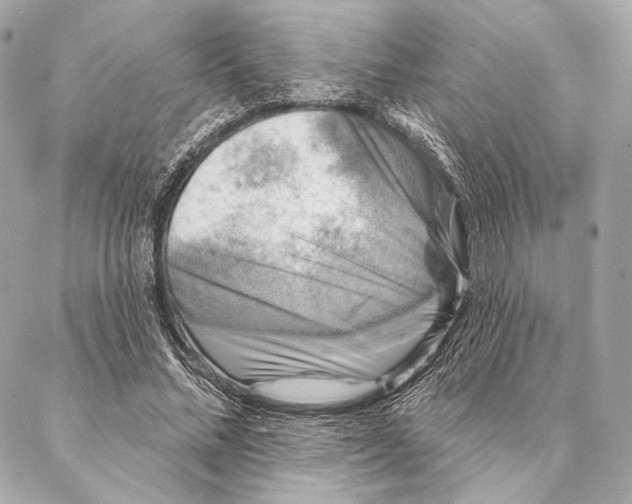 X0000087340684200705111548