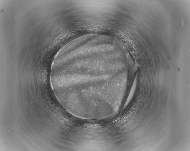 X0000087340689200705111548
