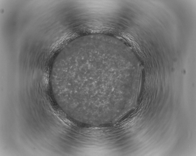 X0000087340691200705111548