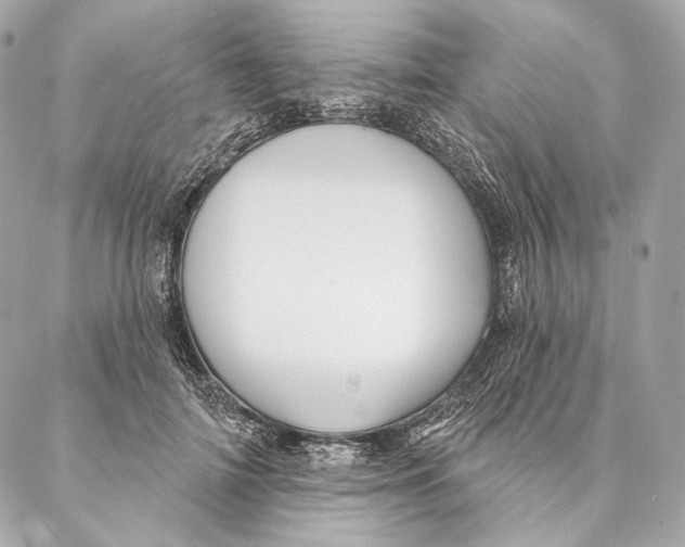 X0000087340698200705111548