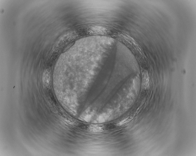 X0000087340701200705111548