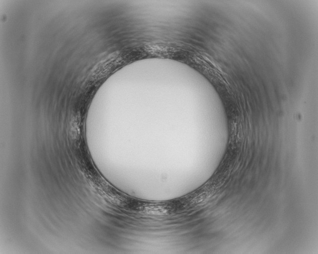 X0000087340702200705111548