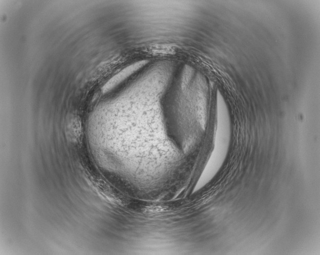 X0000087340704200705111548