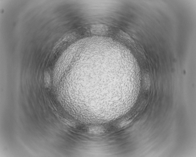 X0000087340705200705111548