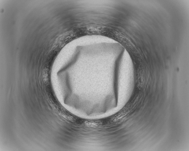 X0000087340706200705111548