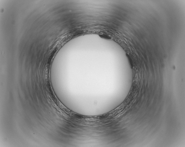 X0000087340708200705111548