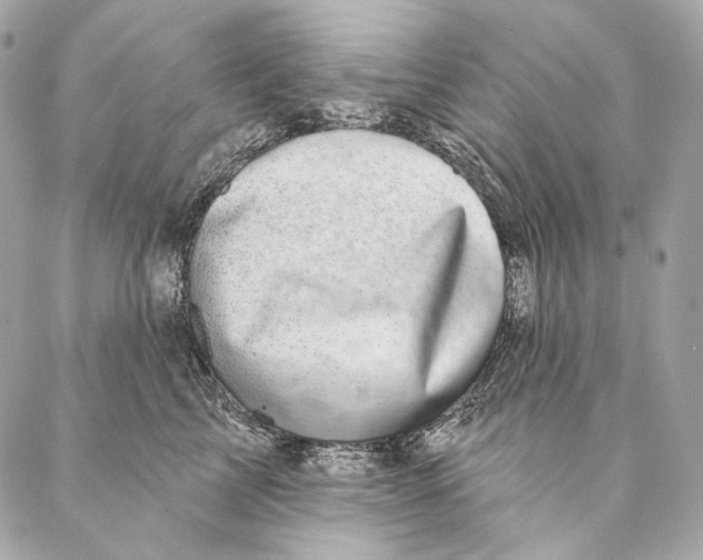 X0000087340713200705111548