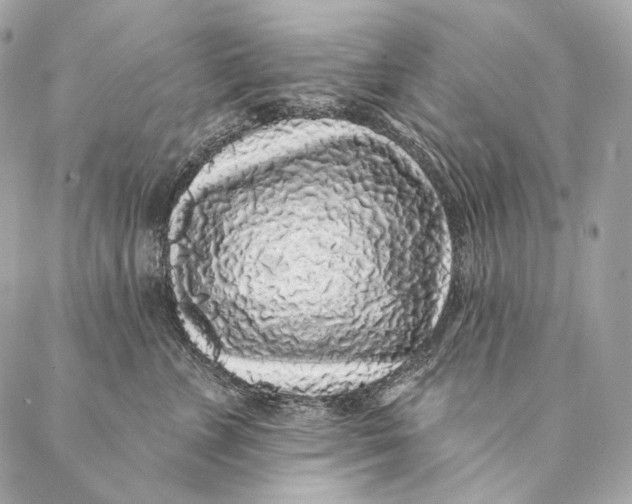 X0000087340715200705111548