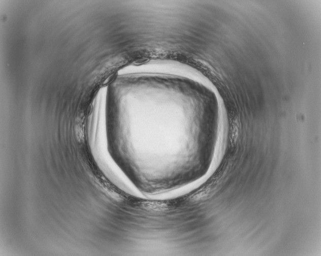 X0000087340719200705111547