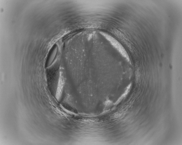 X0000087340721200705111547