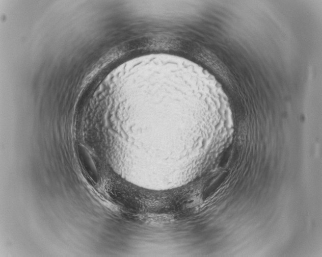 X0000087340722200705111547
