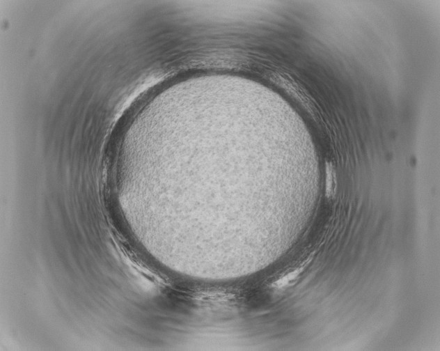 X0000087340723200705111547
