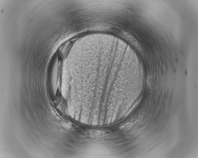 X0000087340724200705111547