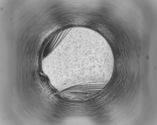 X0000087340727200705111547