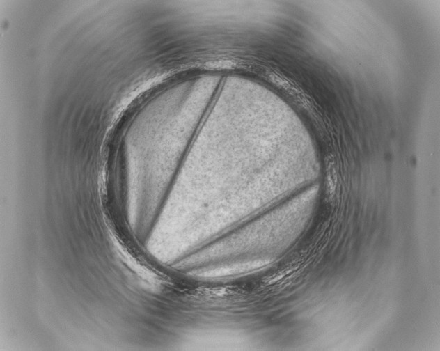 X0000087340728200705111547