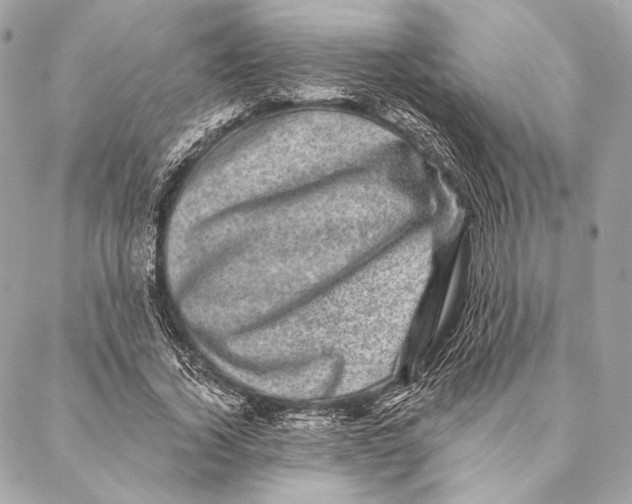 X0000087340732200705111547