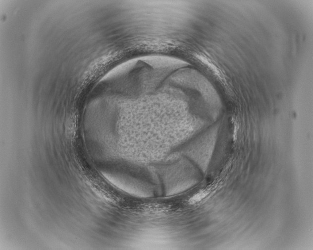 X0000087340736200705111547