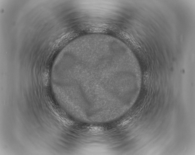 X0000087340741200705111547