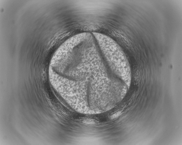 X0000087340743200705111547